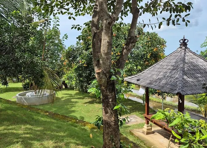 Dharmakirti - Hidden Gem & Coffee